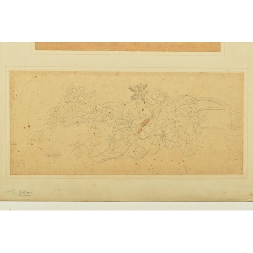 338 - CIRCLE OF EDWARD LEAR (1812-1888) FOUR  DRAWINGS FROM A SKETCHBOOK, the two smaller examples depict ... 