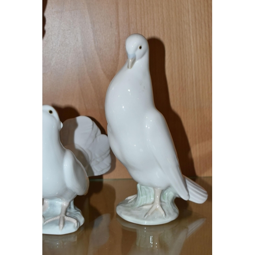 389 - TWO LLADRO DOVES, A NAO DOVE AND A NAO CAT, comprising Lladro Turtle Dove, model no 4550, perched on... 