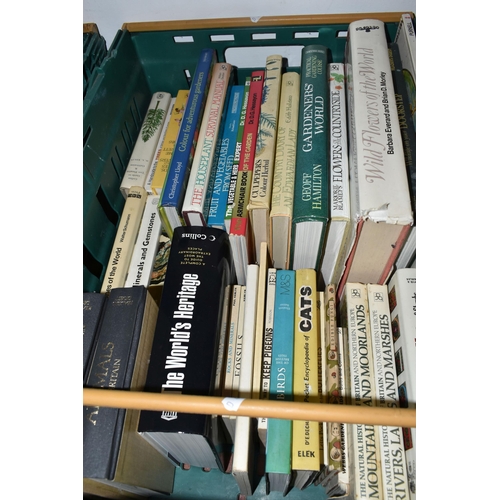 447 - FOUR BOXES OF BOOKS, approximately ninety to one hundred titles in hardback and paperback format, to... 