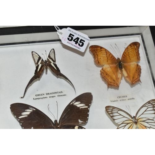 545 - ENTOMOLOGY, a framed Entomology collection of nine Butterflies, the Tawny Rajah, Green Dragontail, C... 