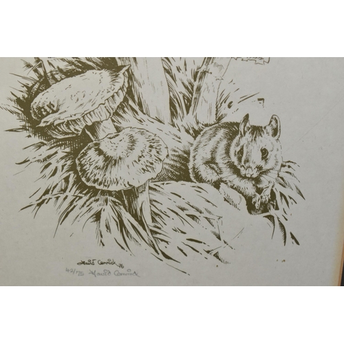 572 - DAVID CEMMICK (1955) FIVE SIGNED LIMITED EDITION PRINTS, comprising The Woodmouse, The Hedgehog, The... 
