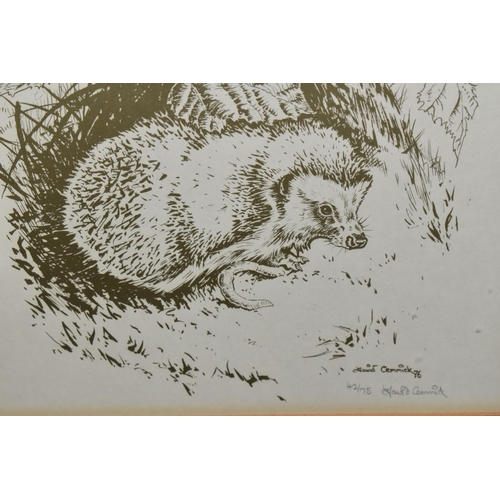 572 - DAVID CEMMICK (1955) FIVE SIGNED LIMITED EDITION PRINTS, comprising The Woodmouse, The Hedgehog, The... 