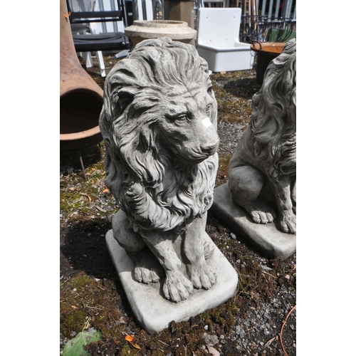 1009 - A PAIR OF COMPOSITE SEARED GARDEN LIONS, height 58cm