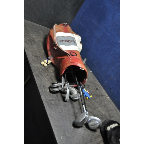 1062 - A VINTAGE GOLF BAG CONTAINING NINE HIPPO IRONS and two drivers by Fazer and Progen