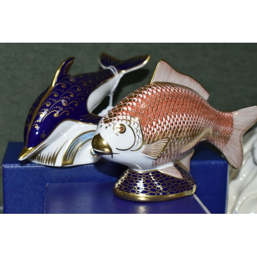 387 - TWO BOXED ROYAL CROWN DERBY IMARI PAPERWEIGHTS, comprising Golden Carp issued 1986-1991, and Dolphin... 