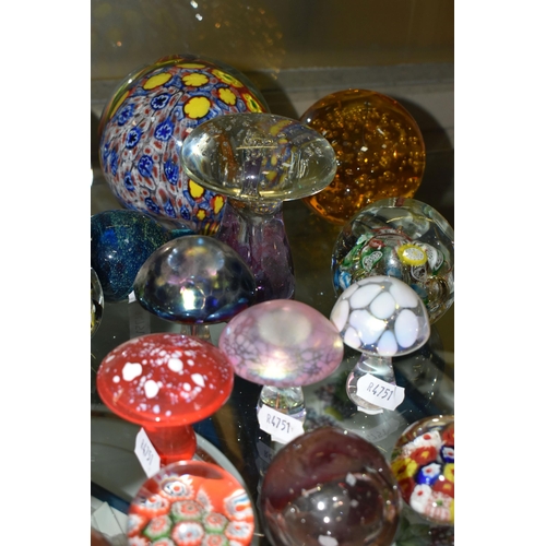 623 - A COLLECTION OF MODERN GLASS PAPERWEIGHTS, MOSTLY COLOURED, various shapes and designs including mus... 