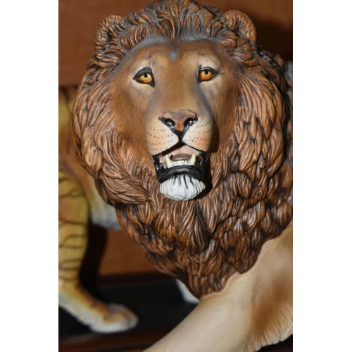 680 - TWO FRANKLIN MINT HAND PAINTED PORCELAIN BIG CATS, comprising a Lion 'Monarch of the Serengeti' appr... 