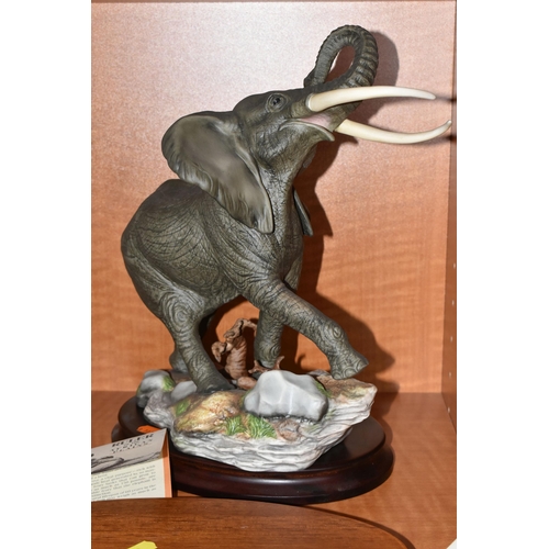 682 - TWO HAND PAINTED PORCELAIN FRANKLIN MINT SCULPTURES, comprising 'African Thunder' an African Black R... 