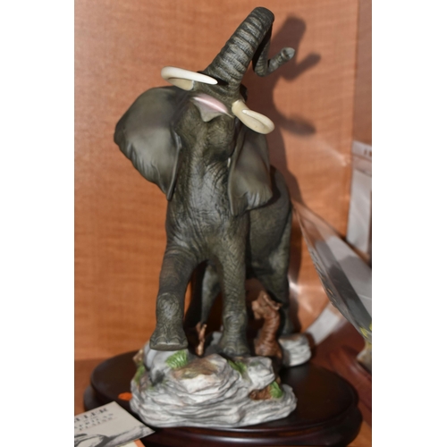 682 - TWO HAND PAINTED PORCELAIN FRANKLIN MINT SCULPTURES, comprising 'African Thunder' an African Black R... 