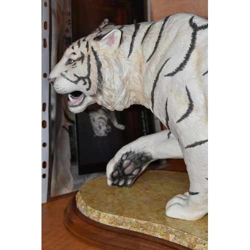 683 - A BOXED FRANKLIN MINT HAND PAINTED PORCELAIN SCULPTURE, 'White Majesty' a depiction of a White Benga... 