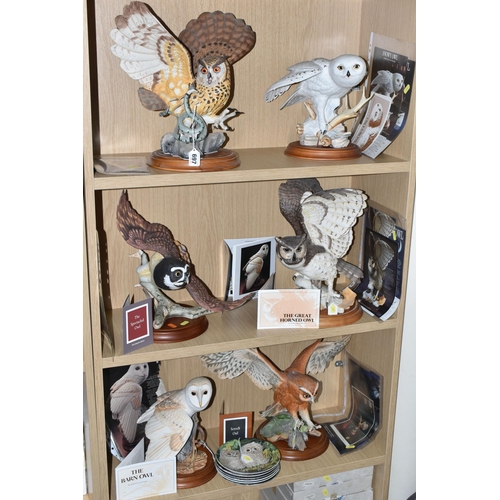 697 - SIX FRANKLIN MINT OWLS AND TWO SETS OF OWL THEMED COLLECTOR'S PLATES, comprising 'the Screech Owl', ... 