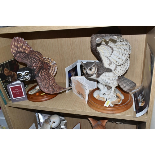 697 - SIX FRANKLIN MINT OWLS AND TWO SETS OF OWL THEMED COLLECTOR'S PLATES, comprising 'the Screech Owl', ... 
