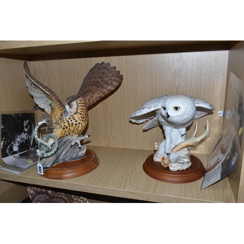 697 - SIX FRANKLIN MINT OWLS AND TWO SETS OF OWL THEMED COLLECTOR'S PLATES, comprising 'the Screech Owl', ... 