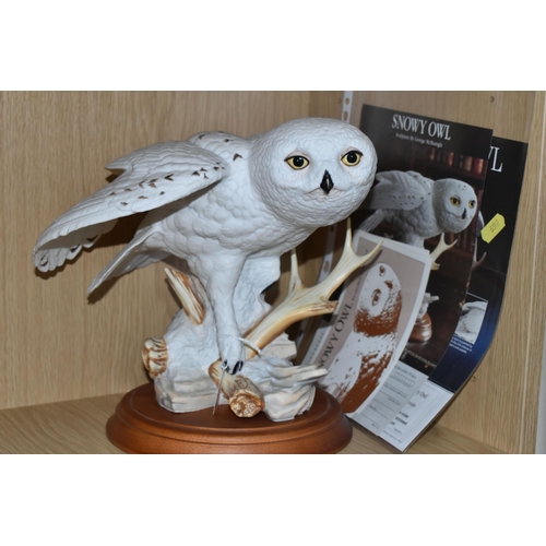 697 - SIX FRANKLIN MINT OWLS AND TWO SETS OF OWL THEMED COLLECTOR'S PLATES, comprising 'the Screech Owl', ... 