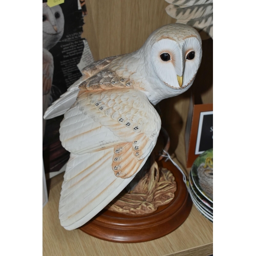 697 - SIX FRANKLIN MINT OWLS AND TWO SETS OF OWL THEMED COLLECTOR'S PLATES, comprising 'the Screech Owl', ... 