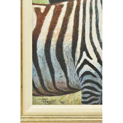 324 - TONY FORREST (BRITISH 1961) 'NEAREST AND DEAREST', a signed limited edition print on board of zebras... 