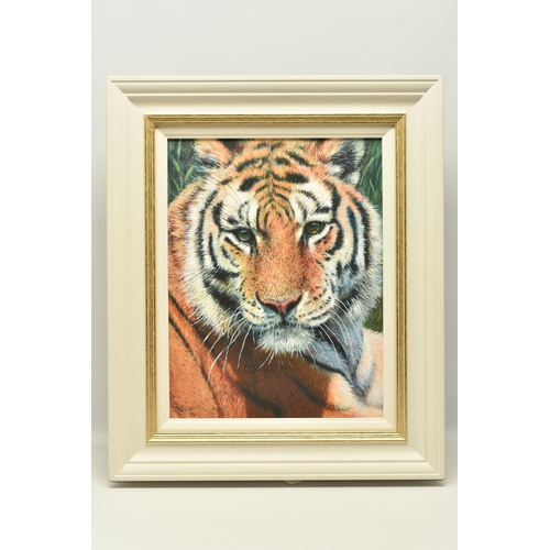 325 - TONY FORREST (BRITISH 1961) 'WILD THING', a signed limited edition print on board of a tiger, 49/195... 