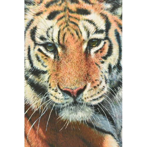 325 - TONY FORREST (BRITISH 1961) 'WILD THING', a signed limited edition print on board of a tiger, 49/195... 