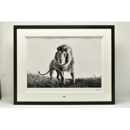 339 - ANUP SHAH (KENYA CONTEMPORARY) 'HUNTER', a signed limited edition photographic print of a lion, 15/1... 