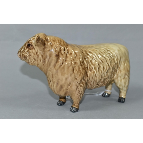 407 - A BESWICK GALLOWAY BULL - SILVER DUNN, model no 1746C (1) (Condition Report: has some damage and res... 