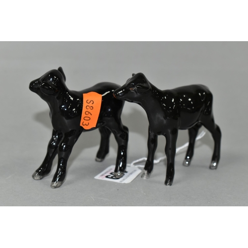 409 - TWO BESWICK ABERDEEN ANGUS CALVES, model numbers 1249F and 1406A (2) (Condition Report: good conditi... 