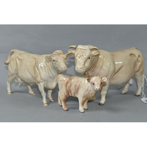 412 - THREE BESWICK FIGURES OF CHAROLAIS CATTLE, comprising Charolais Bull model no 2463A, Charolais Cow n... 