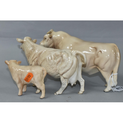 412 - THREE BESWICK FIGURES OF CHAROLAIS CATTLE, comprising Charolais Bull model no 2463A, Charolais Cow n... 