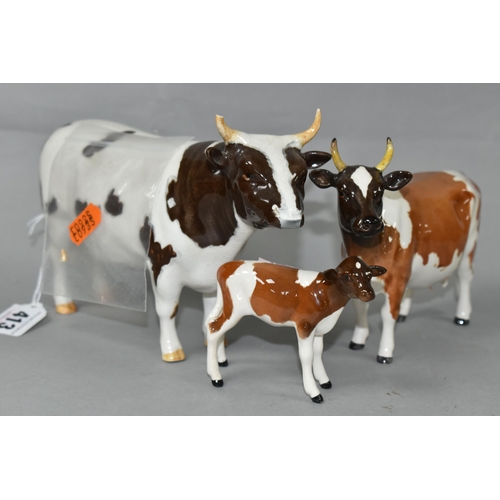 413 - THREE BESWICK FIGURES OF AYRSHIRE CATTLE, comprising Ayrshire Bull model no 1454B, Ayrshire Cow no 1... 