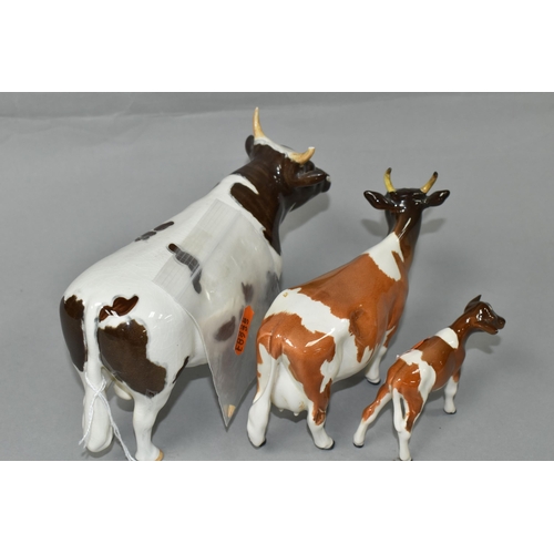 413 - THREE BESWICK FIGURES OF AYRSHIRE CATTLE, comprising Ayrshire Bull model no 1454B, Ayrshire Cow no 1... 