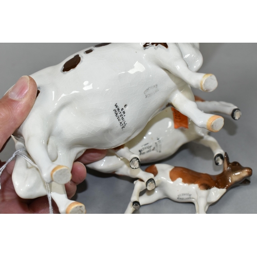 413 - THREE BESWICK FIGURES OF AYRSHIRE CATTLE, comprising Ayrshire Bull model no 1454B, Ayrshire Cow no 1... 