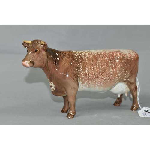 427 - A BESWICK DAIRY SHORTHORN COW, model no 1510 (1) (Condition Report: appears in good condition with n... 