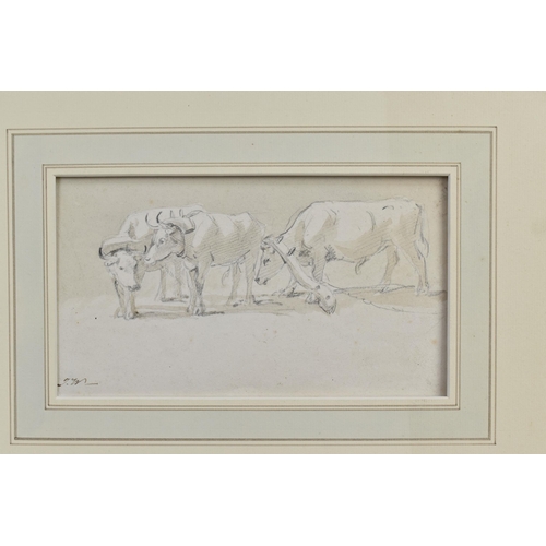 305 - JAMES WARD (1769-1859) DRAUGHT OXEN, a study of oxen wearing yokes, initialled bottom right, pencil ... 