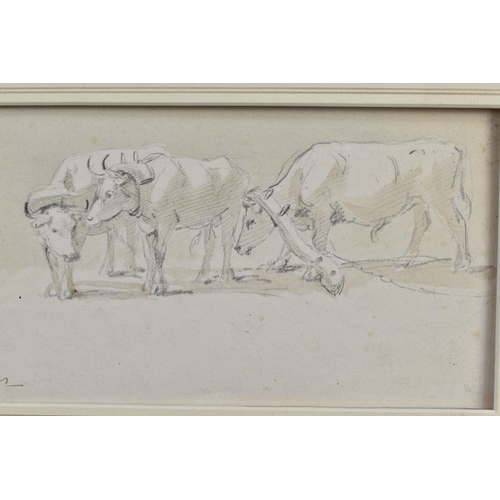 305 - JAMES WARD (1769-1859) DRAUGHT OXEN, a study of oxen wearing yokes, initialled bottom right, pencil ... 