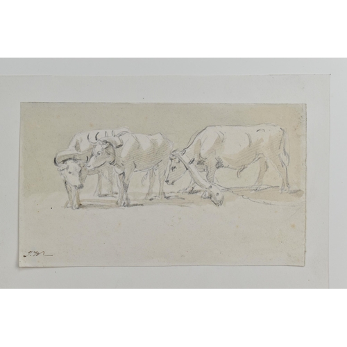 305 - JAMES WARD (1769-1859) DRAUGHT OXEN, a study of oxen wearing yokes, initialled bottom right, pencil ... 