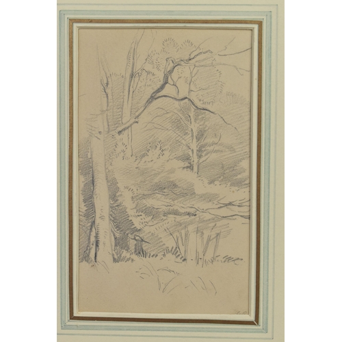 310 - CIRCLE OF GEORGE RICHMOND (1809-1896) A STUDY OF TREES, bears initials bottom right, pencil on paper... 