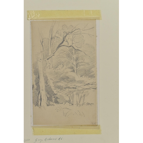 310 - CIRCLE OF GEORGE RICHMOND (1809-1896) A STUDY OF TREES, bears initials bottom right, pencil on paper... 