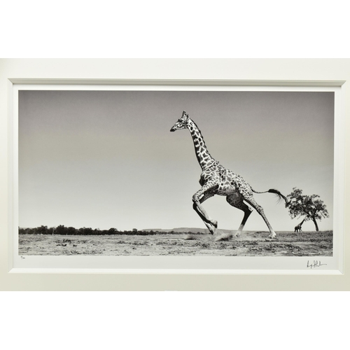 305 - ANUP SHAH (KENYAN CONTEMPORARY) 'DANCE', a signed limited edition photographic print depicting a gir... 