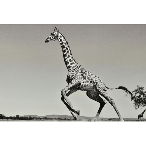 305 - ANUP SHAH (KENYAN CONTEMPORARY) 'DANCE', a signed limited edition photographic print depicting a gir... 