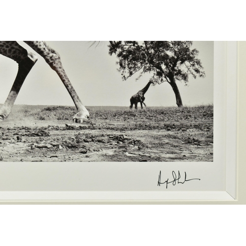 305 - ANUP SHAH (KENYAN CONTEMPORARY) 'DANCE', a signed limited edition photographic print depicting a gir... 