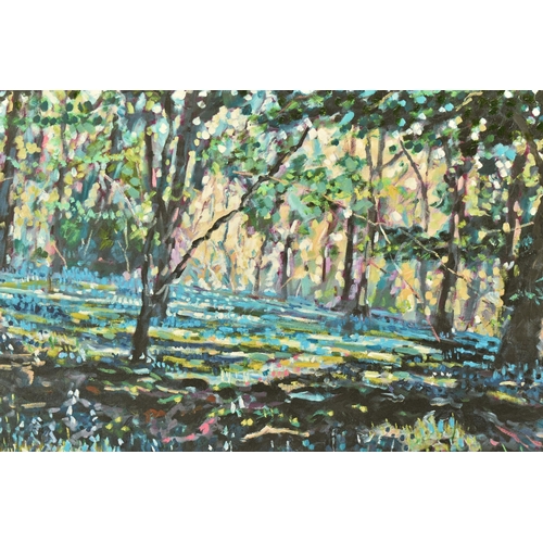 316 - TIMMY MALLETT (BRITISH CONTEMPORARY) 'Bluebell Shadows', limited edition box canvas print of a woodl... 