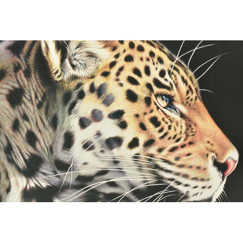 322 - DARRYN EGGLETON (SOUTH AFRICA 1981) 'THE WILD SIDE I', a signed limited edition print on canvas depi... 