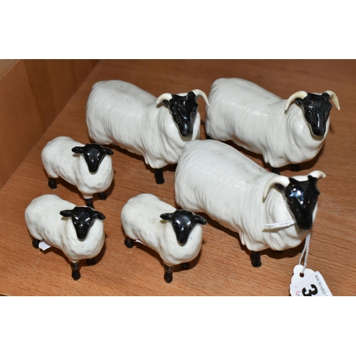 380 - A FLOCK OF SIX BESWICK SHEEP, comprising three gloss 'Black Faced Sheep' and three gloss 'Black Face... 