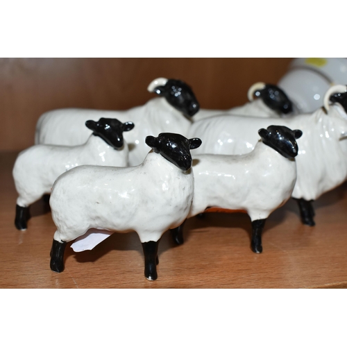 380 - A FLOCK OF SIX BESWICK SHEEP, comprising three gloss 'Black Faced Sheep' and three gloss 'Black Face... 