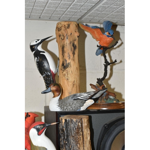 397 - A COLLECTION OF BIRD SCULPTURES, twenty birds to include two woodpeckers attached to logs, a wooden ... 