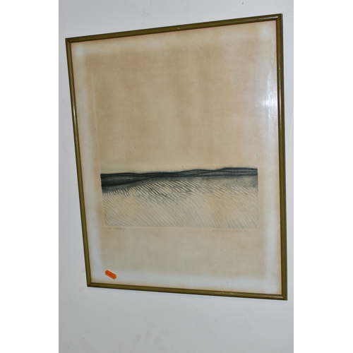 652 - MARILYN WEB (NEW ZEALAND 1937-2021) A LIMITED EDITION ETCHING DEPICTING A LANDSCAPE, signed and date... 