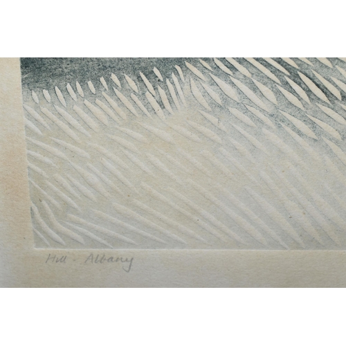 652 - MARILYN WEB (NEW ZEALAND 1937-2021) A LIMITED EDITION ETCHING DEPICTING A LANDSCAPE, signed and date... 