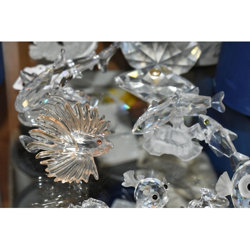 408 - A GROUP OF SWAROVSKI CRYSTAL SCULPTURES FROM THE 'AQUATIC WORLD' AND 'SOUTH SEA' COLLECTIONS, compri... 