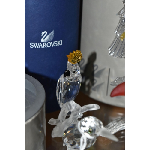 409 - A GROUP OF SWAROVSKI CRYSTAL SCULPTURES OF BIRDS, from Up in the Trees, Feathered Beauties, Woodland... 