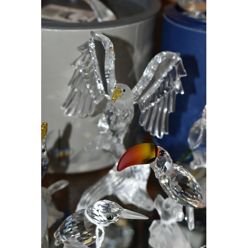 409 - A GROUP OF SWAROVSKI CRYSTAL SCULPTURES OF BIRDS, from Up in the Trees, Feathered Beauties, Woodland... 