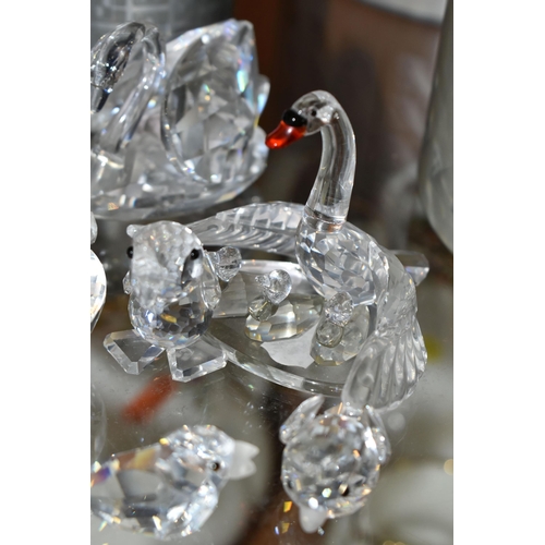 425 - A COLLECTION OF SWAROVSKI CRYSTAL ANIMAL AND BIRD FIGURES, from series including Barnyard Friends, B... 